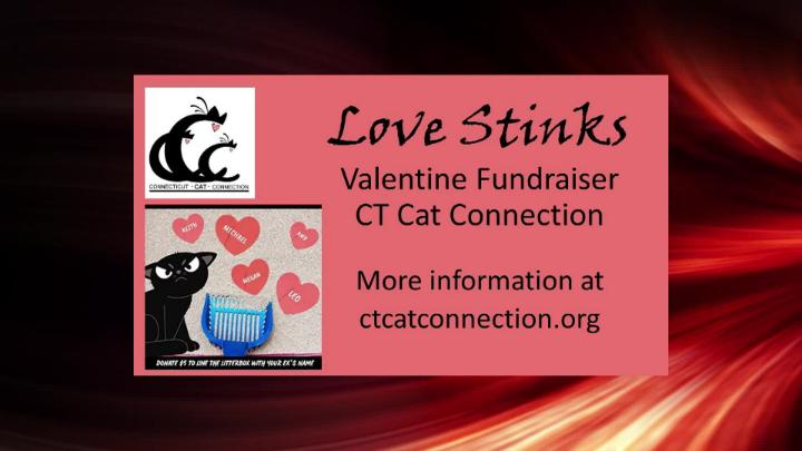 Thumbnail image for BOE Finance Feb 4, 2026