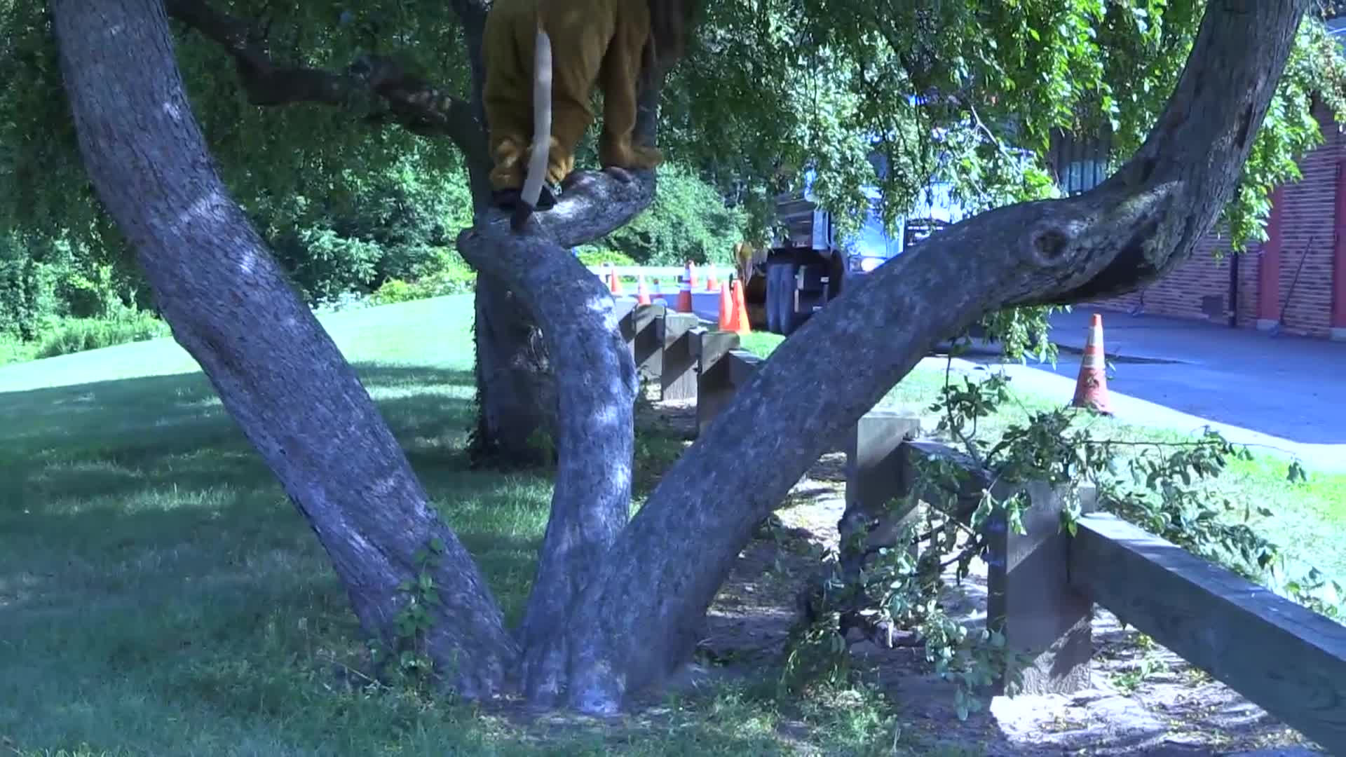 Thumbnail image for 2015 KIDVID 4